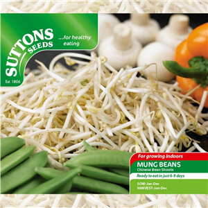 Beansprouts (Mung Bean)